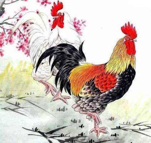 红梅报春春景美,家中迎客吉福来猜打一最佳准确生肖请全面释义、解释与落实、科学解答解释落实