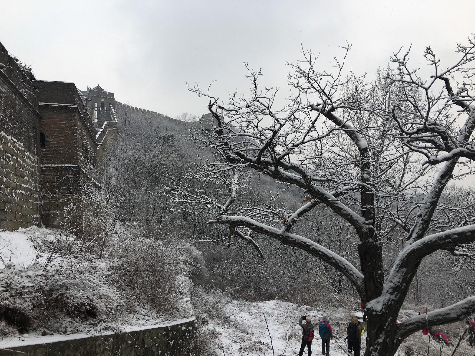 旁门左道谁能及，雪中应学山上松打一准确生肖请全面2释义、解释与落实、实证解答解释落实