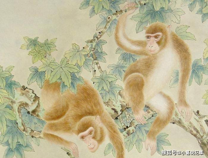 红梅报春春景美,家中迎客吉福来猜打一最佳准确生肖请全面释义、解释与落实、科学解答解释落实